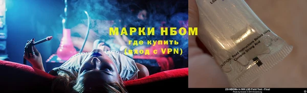 стафф Баксан
