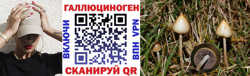 Купить  Облучье  Галлюциногенные грибы GOLDEN TEACHER 